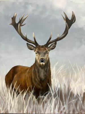 Revelatione Caligo - Original