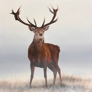 Fiadh Nan Ceo - Original