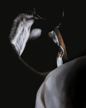 Where the Light Finds the Dark - Original