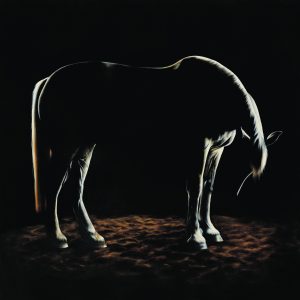 'Ailin' Original Equine Oil Painting